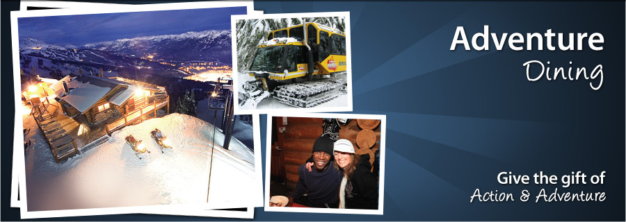 Mountaintop Fondue by Snowmobile or Snowcat - BC