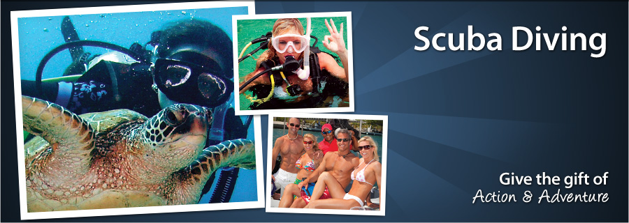Scuba Diving - Montreal