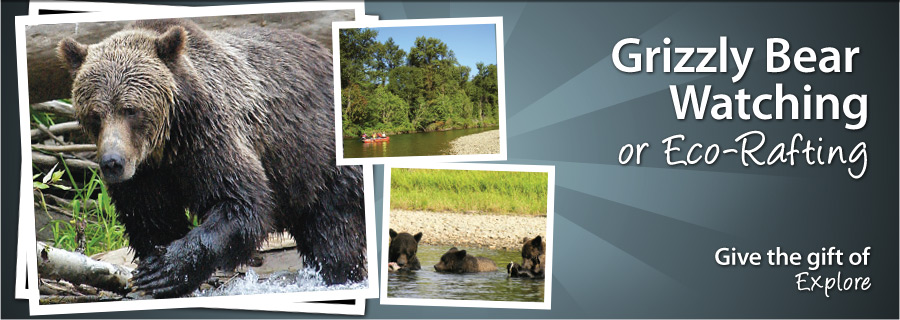 Grizzly Bear Watching or Eco-Rafting - Hagensborg, BC - $89