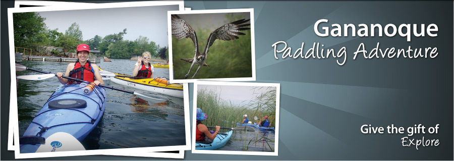 Half Day Paddle Adventure - Gananoque - $89