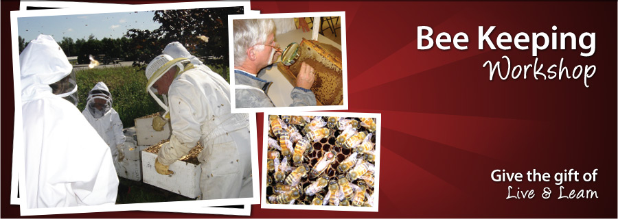 Beekeeping Workshop - Pitt Meadows, BC - $89