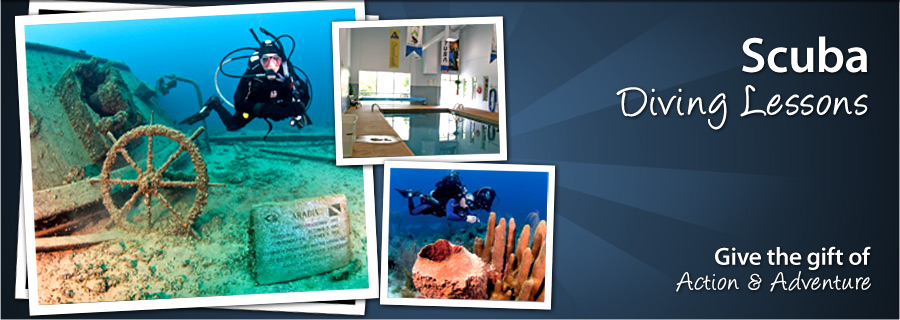 Learn to Scuba Dive - ON