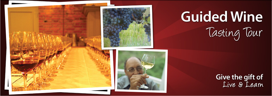 Guided Wine Tasting Tour or Introduction to Wine Tasting - ON