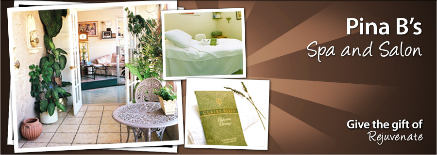 Pina B's Spa and Salon - Etobicoke - $109