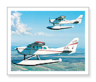 Hydroplane Tour