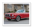 Mustang Convertible Driving Experience - Thornhill 