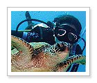 Scuba Diving