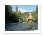 intro to fly fishing