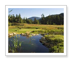 Canoe Creek Golf Course - Salmon Arm