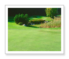 The Diamond 'in the Ruff' Golf Club - Utterson