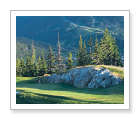 Faimont Chateau Whistler Golf Club - Whistler