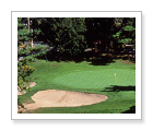 Fairmont Le Ch�teau Montebello Golf Club 