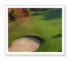 Horseshoe Resort: Valley Course - Barrie