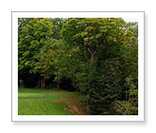 Kingsville Golf Club - Kingsville