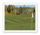 Northern Bear Golf Club - Sherwood Park