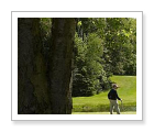 Pinestone Resort Golf Course - Haliburton