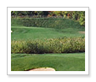 Royal Niagara Golf Club - Niagara-on-the-Lake