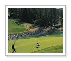 SilverTip Golf Resort - Canmore