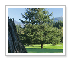 Squamish Valley Golf Club - Squamish