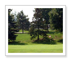 Streetsville Glen Golf Club - Brampton