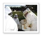 Beekeeping Workshop - BC