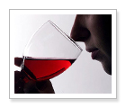Guided Wine Tasting Tour