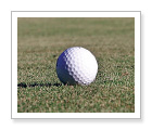 Apprenez a golfer sur la plage - White Point, NS - $89