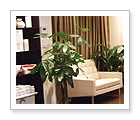 Avie Spa - Old Montreal
