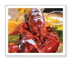 TheFishMarket