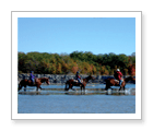 Horseback Ride and Dune Buggy Experience