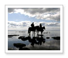 Horseback Trail Ride