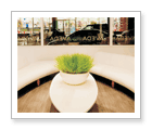 James Brett Coiffure and Spa - Kingston