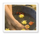 Solarice Wellness Spa